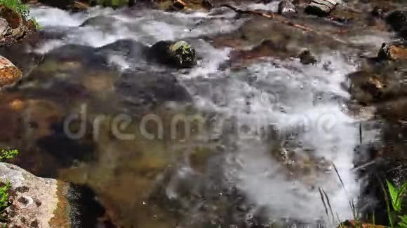 水流在溪流中视频的预览图