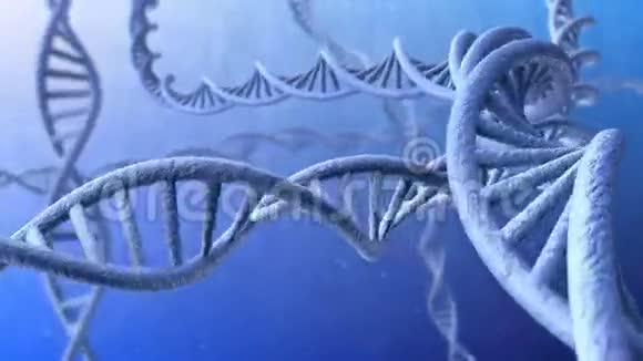 旋转DNA链的三维动画失踪了视频的预览图