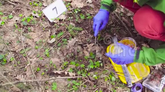 森林科学家生态学家采集植物样本视频的预览图