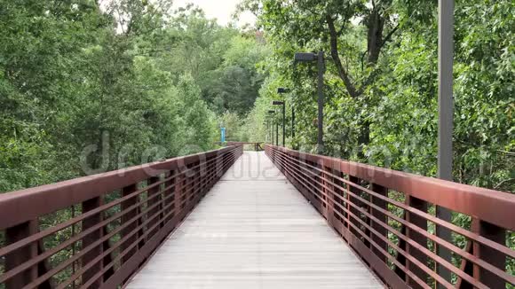 木脚桥的中心景观沿着徒步路径摇曳的树木视频的预览图