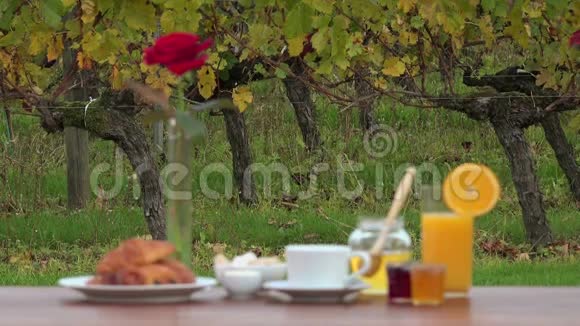 葡萄园背景的法式早餐视频的预览图