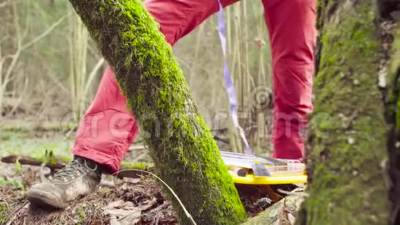 森林科学家生态学家采集植物样本视频的预览图