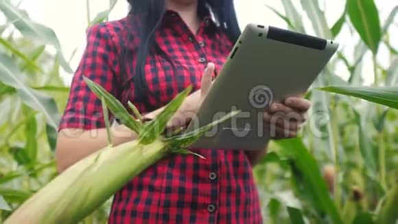 智慧生态农业养殖理念植物研究人员在检查生活方式时使用触摸平板电脑视频的预览图