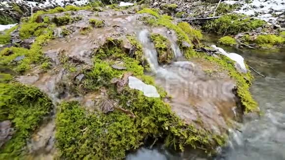 特写冬林梯级溪流四周青苔石化高山水体中矿物含量高视频的预览图