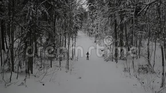 冬天森林里的人视频的预览图