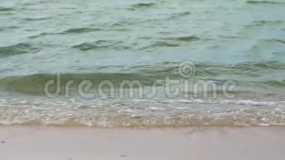 海边或沙滩海浪视频的预览图