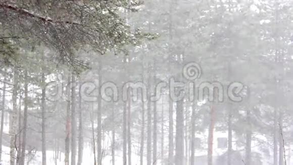 冬天的雪和暴风雪视频的预览图