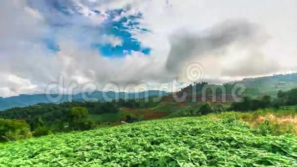 热带森林山上空云移的时间推移场景视频的预览图