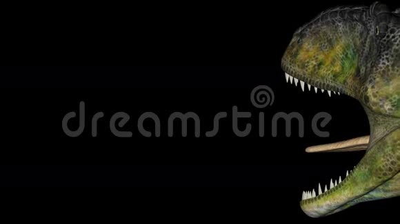 黑色背景旋转中的岩龙恐龙视频的预览图