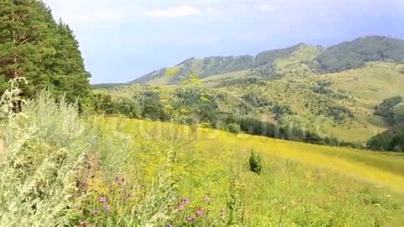 度假胜地阿尔泰山的美丽全景视频的预览图