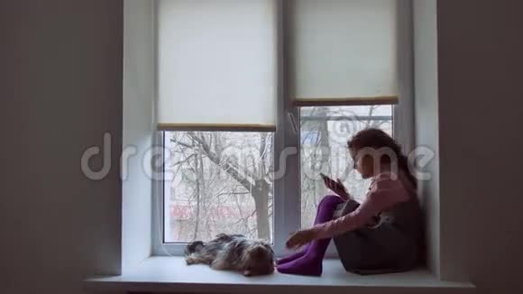 少女上网玩宠物智能手机游戏狗坐在窗台上视频的预览图