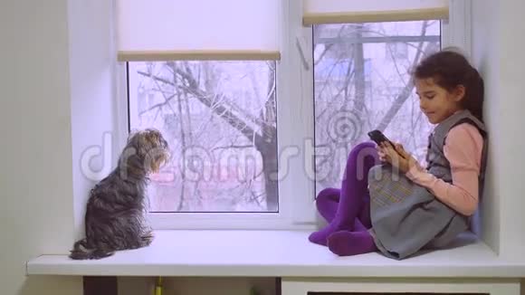 女孩在玩网络游戏智能手机和狗坐在窗台宠物窗台上视频的预览图