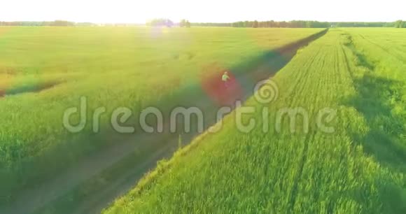 鸟瞰年轻男孩骑着自行车穿过古老的乡村道路上的麦田阳光和光束视频的预览图