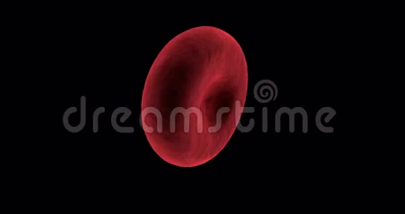 黑色背景下产生的数字红细胞视频的预览图