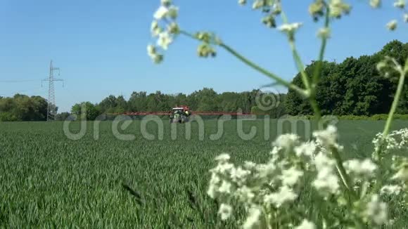 农业农场拖拉机喷洒麦田视频的预览图