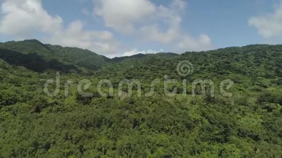 带雨林的山景观视频的预览图