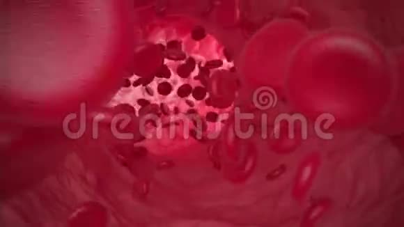 红细胞沿静脉运动3D动画视频的预览图
