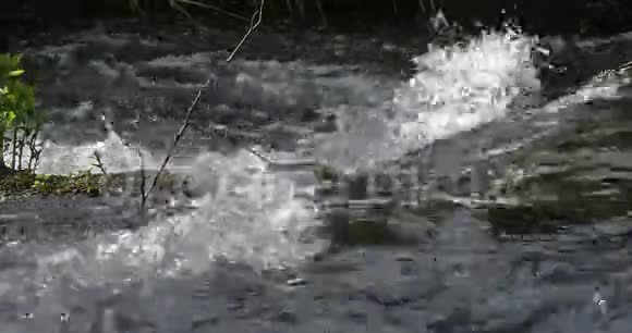 罗格瀑布罗斯基斯拉普克尔卡自然公园靠近西贝尼克在达马尔蒂亚克罗地亚实时视频的预览图