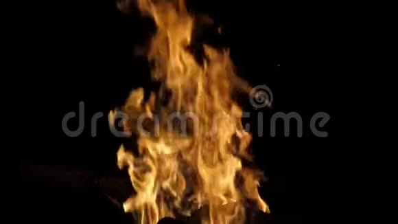 肯尼亚MasaiMara公园的营地篝火篝火火焰视频的预览图