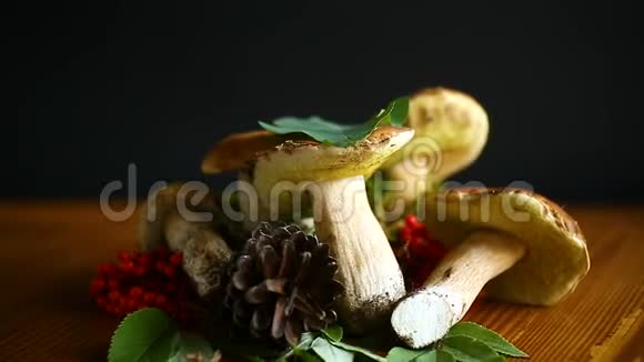 白色森林蘑菇视频的预览图