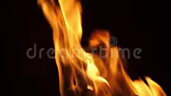 肯尼亚MasaiMara公园的营地篝火篝火火焰视频的预览图