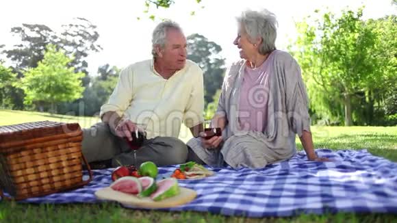 退休夫妇一起野餐视频的预览图