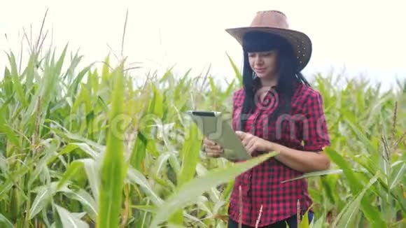 智慧生态生活方式农业养殖理念农民女孩植物研究员在检查时使用和触摸平板电脑视频的预览图