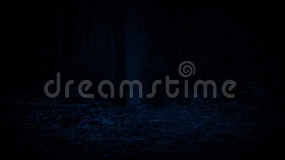 夜间穿越森林的道路视频的预览图