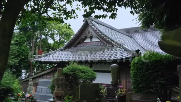 东京内祖金甲神社著名的红门径视频的预览图