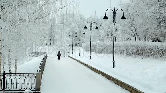 俄罗斯古城的冬景视频的预览图