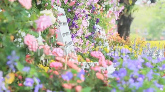 花圃白木椅高清vdo视频的预览图