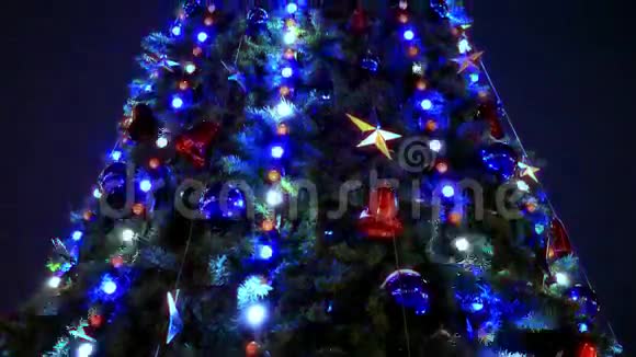 圣诞树和夜景装饰视频的预览图