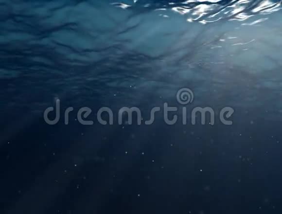 从水下的海洋中漫步全高清无缝背景视频的预览图