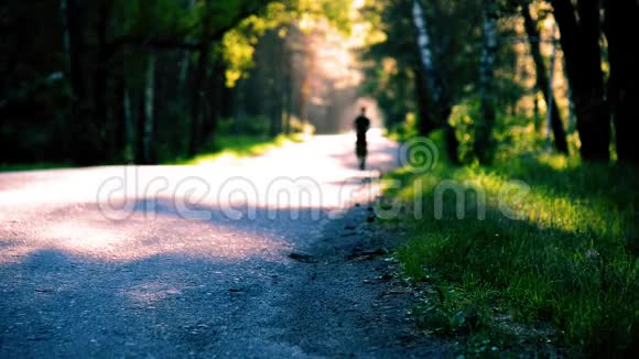 运动男在柏油路跑步乡村城市公园绿树森林和地平线上的阳光视频的预览图