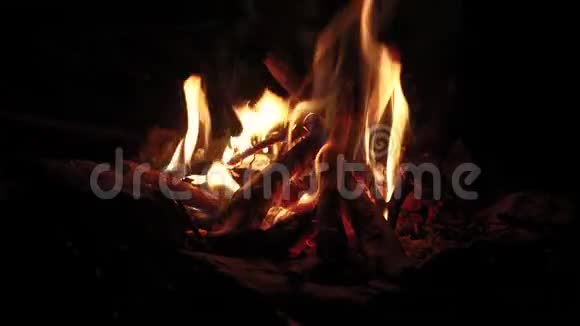 营火火焰视频的预览图