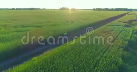 鸟瞰年轻男孩骑着自行车穿过古老的乡村道路上的麦田阳光和光束视频的预览图