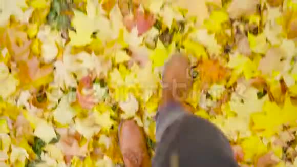 一个穿皮鞋的人正在公园里散步秋季季节视频的预览图