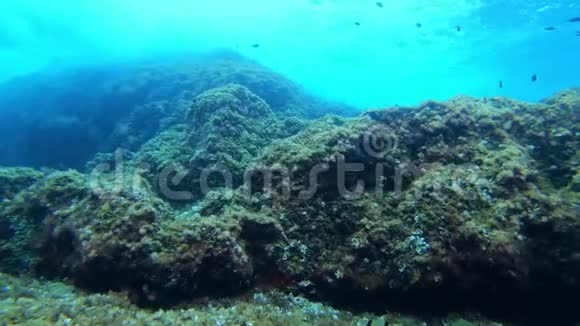 地中海水下景观海底潜水视频的预览图