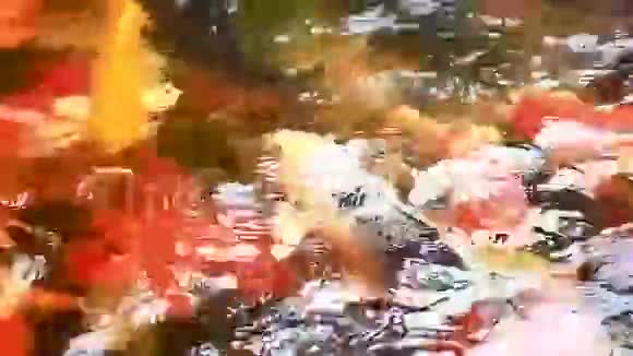 锦鲤在池塘里觅食快关门高清高清视频的预览图