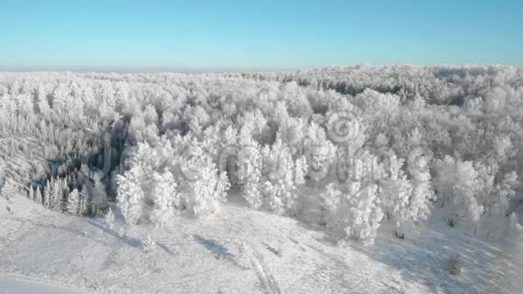 一片美丽的冬霜林那里的树木都在霜冻中视频的预览图