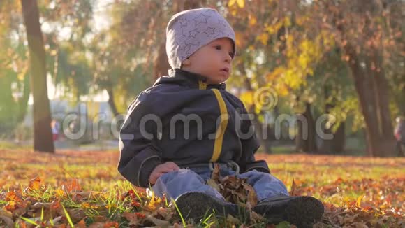 小男孩坐在草地上落叶在公园里在明亮和阳光明媚的初秋黄叶视频的预览图