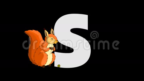 字母S和松鼠前景视频的预览图
