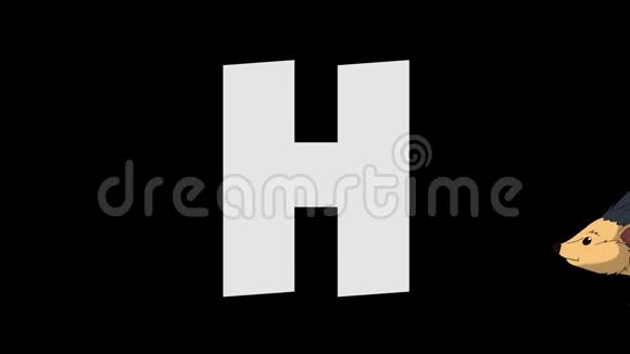 字母H和刺猬前景视频的预览图