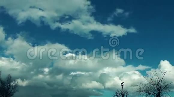 云和植物时间流逝视频的预览图