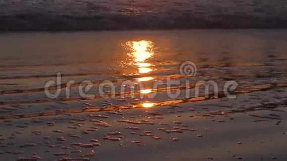 杰克逊维尔海滩日出冲浪2视频的预览图