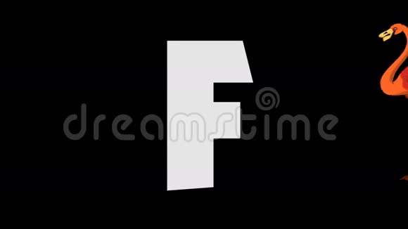 字母F和火烈鸟背景视频的预览图