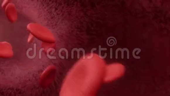 穿过动脉的血细胞视频的预览图