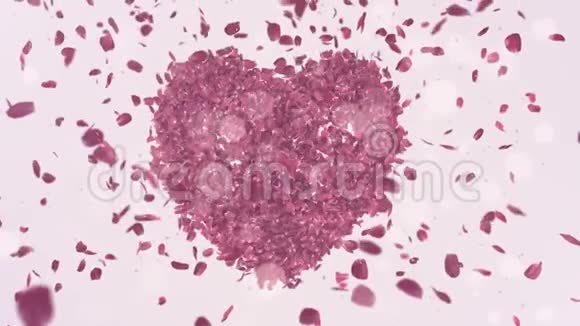 浪漫的丁香玫瑰花瓣从心中飞舞结婚视频的预览图