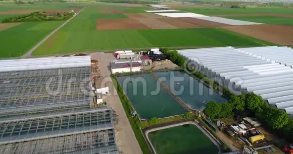 现代化的大型温室一个大型的农业综合体飞过绿茵场环绕的温室视频的预览图
