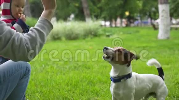 在公园里和她的狗玩耍的女人视频的预览图
